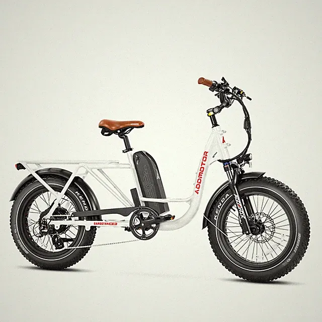Addmotor Electric Bicycle 750W 48V*20Ah 20'' Fat Tire Step-Thru City Cargo EBike