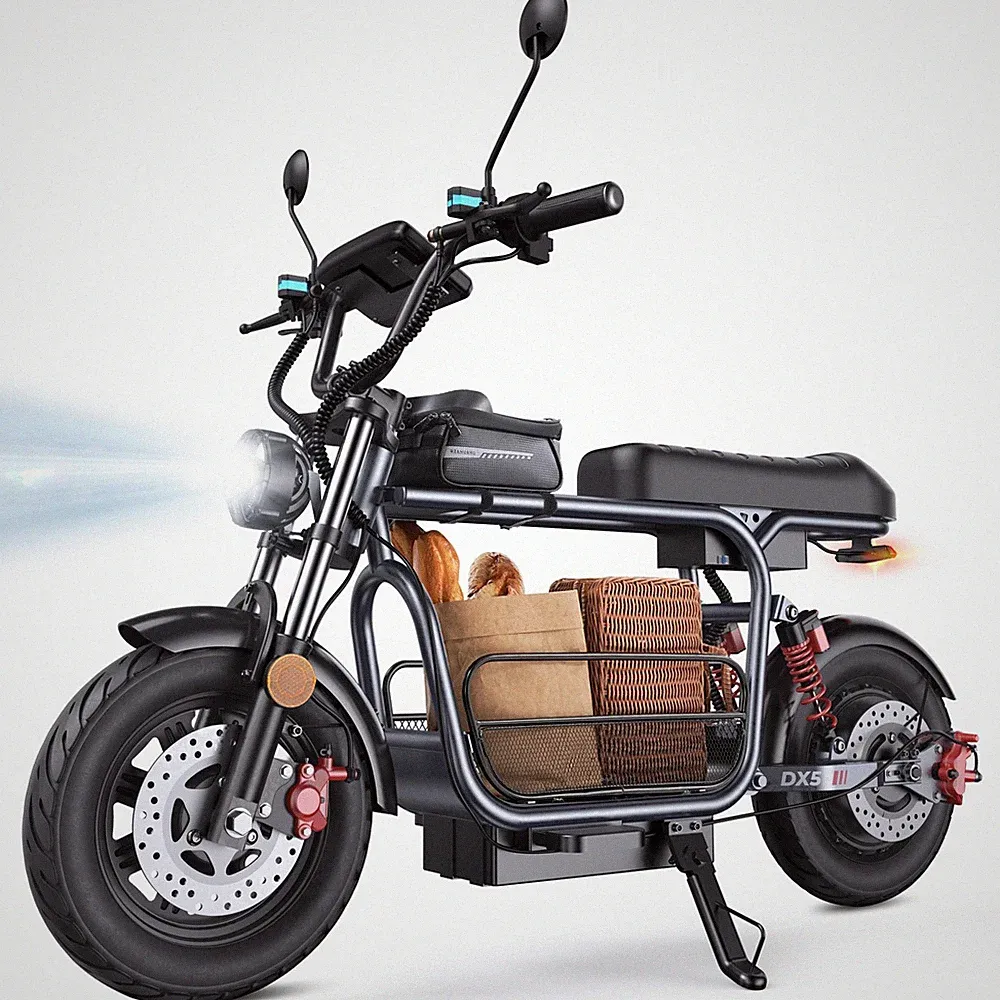 10 Speeds Cargo Bike