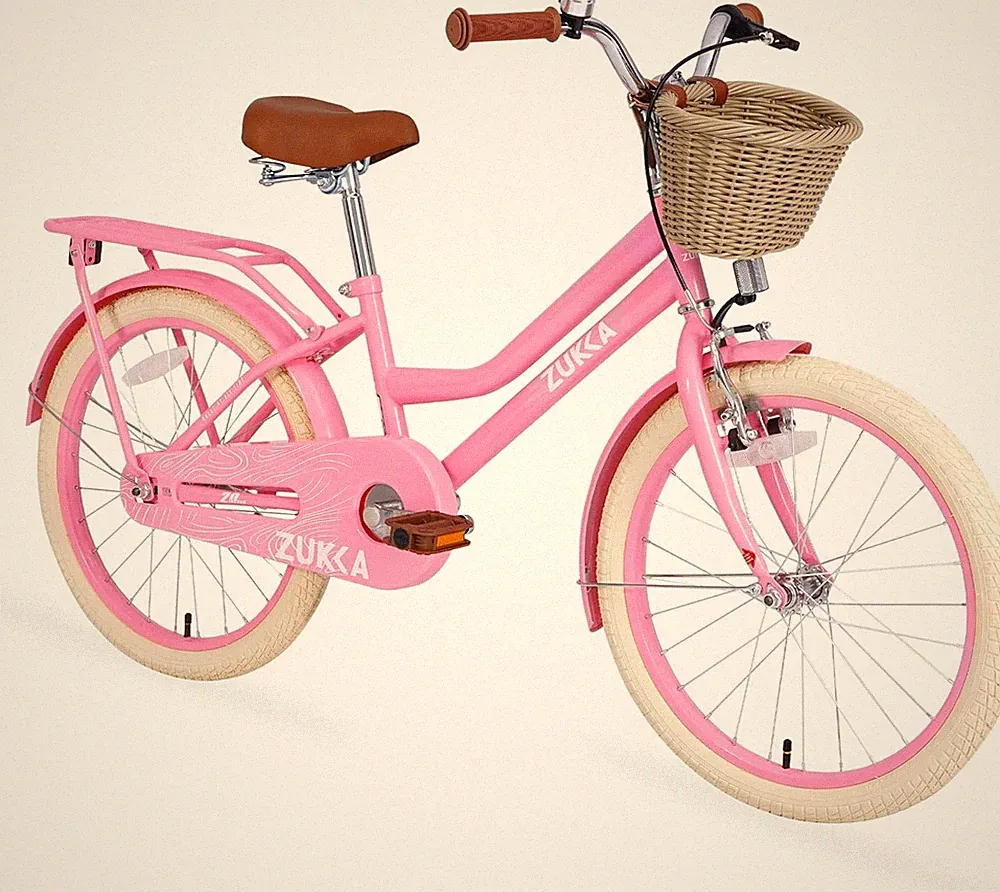 Girls Bike with Basket for 7-10 Years Old Kids,20 inch wheel ,Multiple Colors