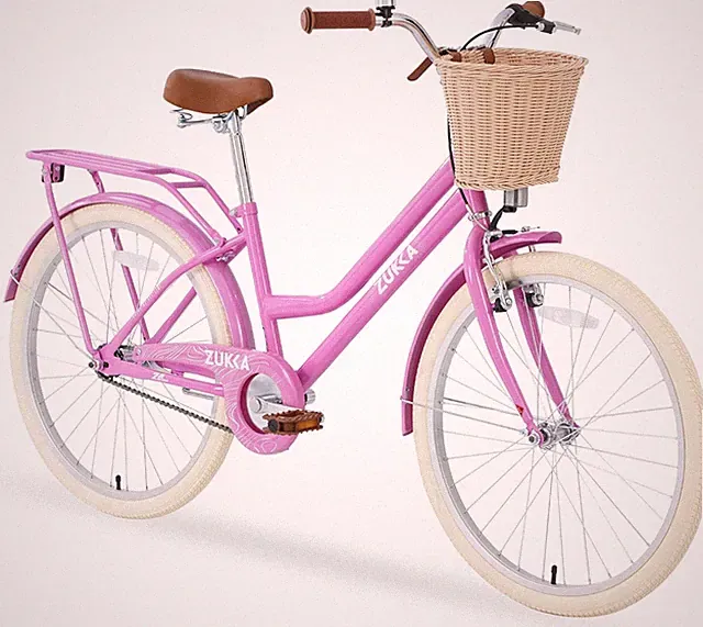 MEGHNA 24 Inch Single Speed Kid Bike Girls Bicycle with Basket for 10+ Years Old