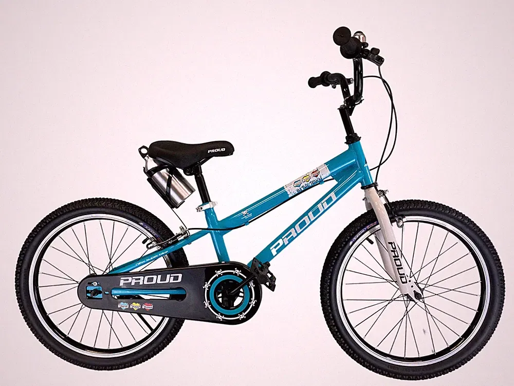 10 Speeds Kids Bike