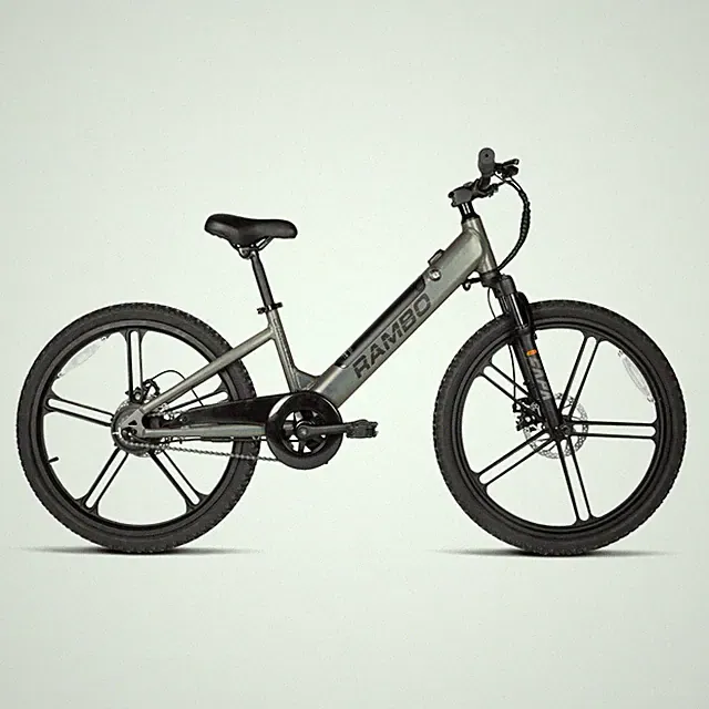 Rambo Bikes Chameleon 24"