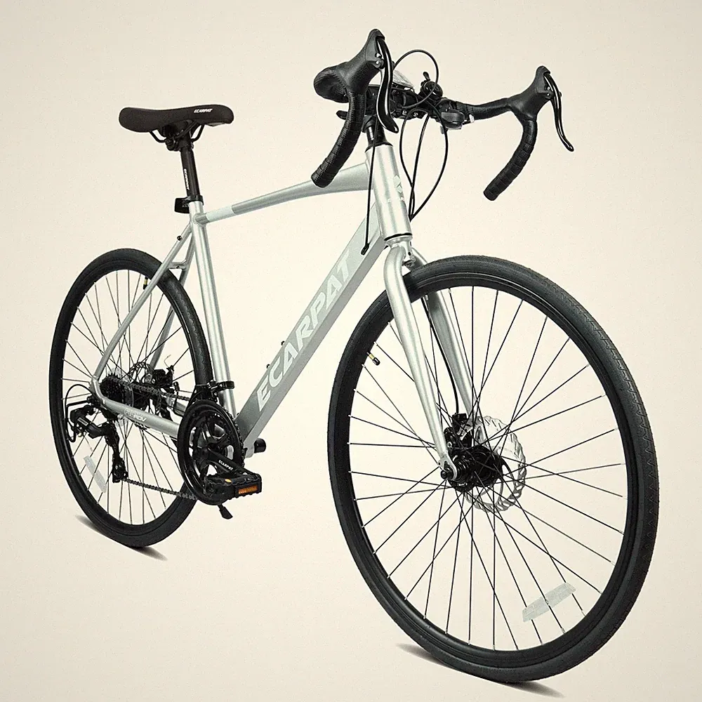10 Speeds Commuter Bike