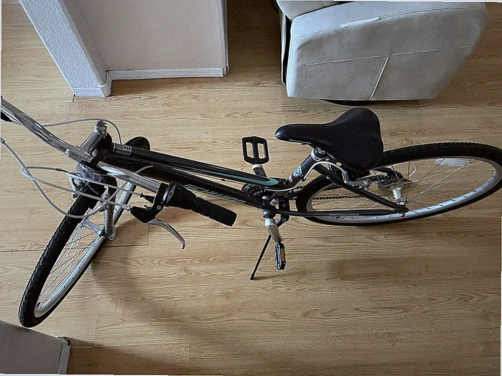 10 Speeds Multi-Use Bike