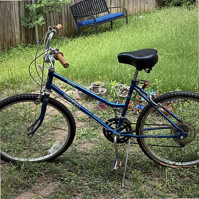 Sequoia 10 Speed Cruiser Bike Blue 26 in Caliper Brakes Cruiser Bar Kickstand