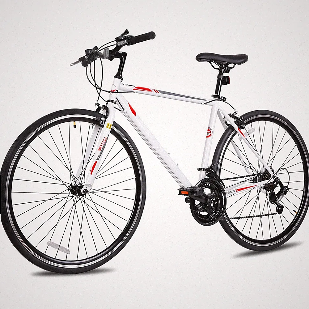 10 Speeds Hybrid Bike