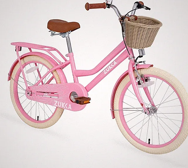 ZUKKA 20 Inch Kids Mountain Bike, Kids Bike 1 Speed, Bikes for Kids 7-10, Pink